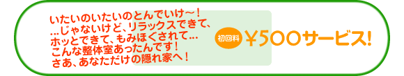 リラクゼーション リラックス 肩こり 腰痛 全身疲労でお悩みの方へ 整体でホッと一息つきませんか?豊橋市 ほその整体室